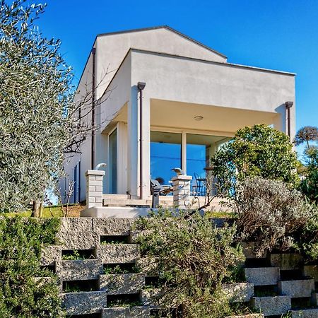 Villa Il Poggino - Modern House Foiano Della Chiana Eksteriør billede